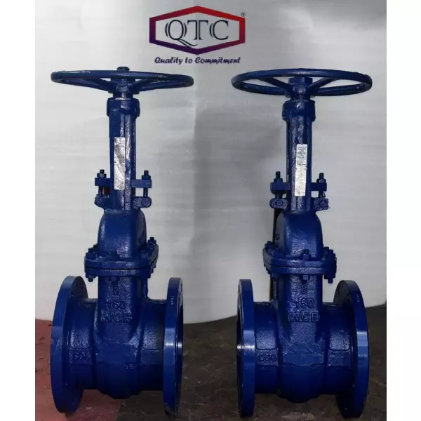 QTC MAKE 200MM WCB GATE VALVE F/E 150#