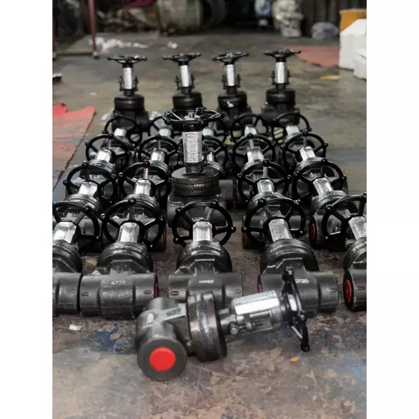 QTC MAKE 2500# A105 GATE VALVE
