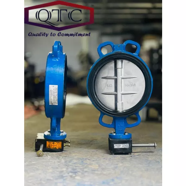 QTC Make BFV G/O PN16 Wafer Design