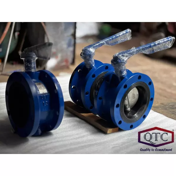 QTC Make Double Flange Butterfly Valve F/E