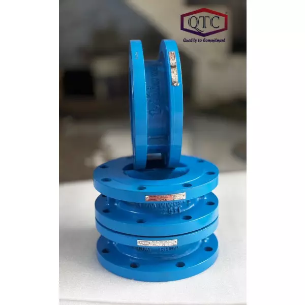 QTC Make Double Flange Dual Plate Check Valve F/E
