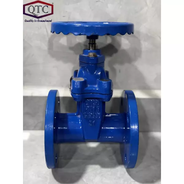 QTC Make Resilent Seated Sluice Valve