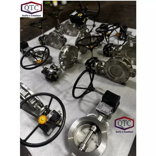 QTC Make SS304 Double Offset G/O Butterfly Valve