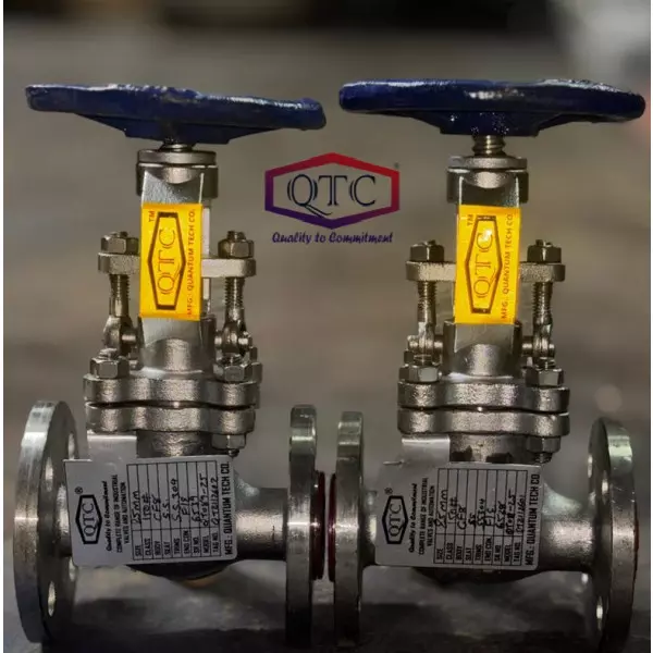 QTC MAKE SS304 GLOBE VALVE F/E 150#
