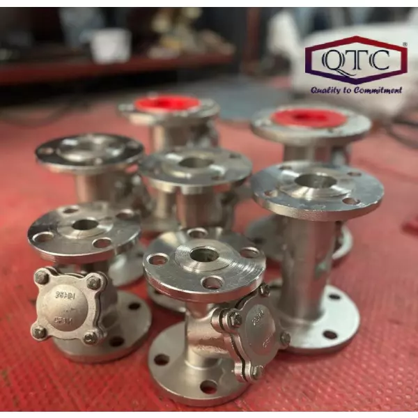 QTC Make SS304 Y Strainer F/E