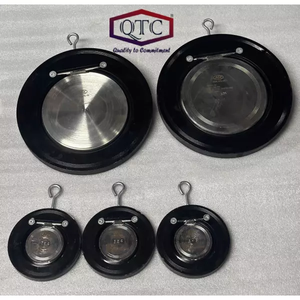 QTC Make Wafer Check Valve NRV