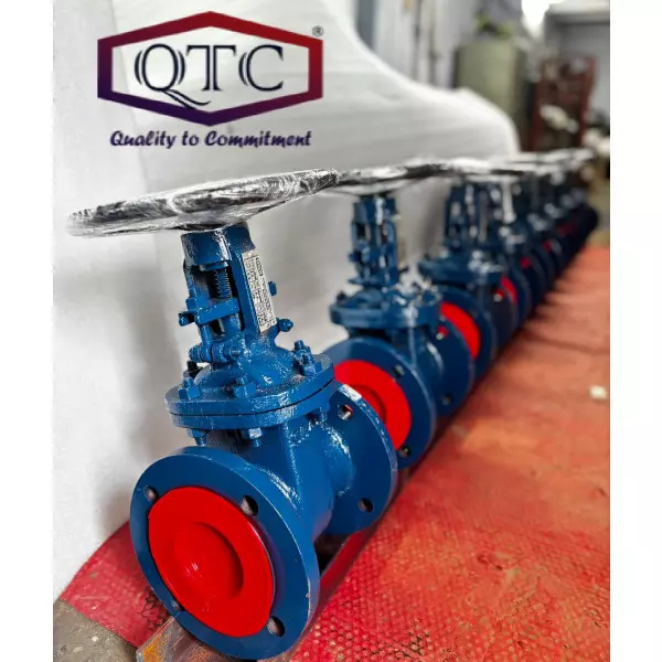QTC Make WCB Gate Valve F/E