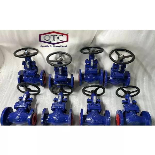 QTC MAKE WCB GLOBE VALVE F/E 150#