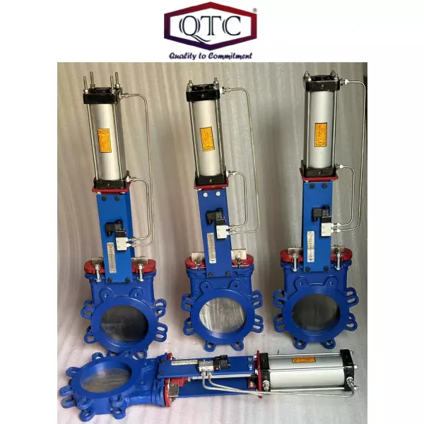 QTC Make WCB Knife Edge Gate Valve Pneumatic Cylinder Operated With SOV + SS Tuing LUG Type