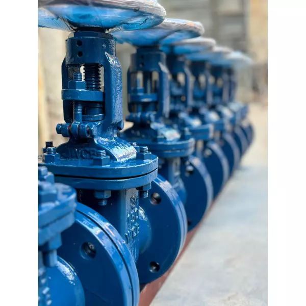 WCB GATE VALVE FLANGE END 150#