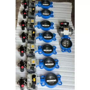 Butterfly Valve Suppliers In Gandhinagar