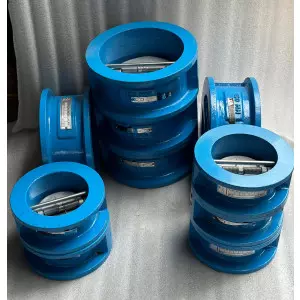 Non-return Valves (NRVs) Manufacturers In Lucknow