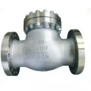 Swing Check Valve Showing Disc Mechanism For Controlling Backflow