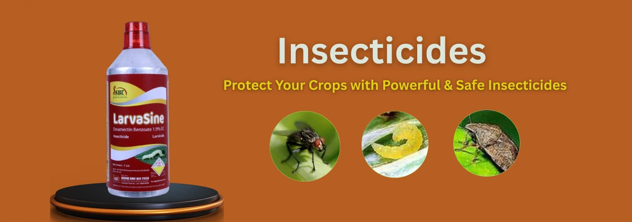 Silver Sine Bio Tech: Ahmedabad