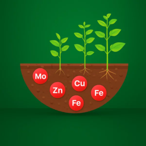 Bio Larvicide Suppliers In Nagpur