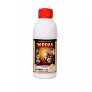 Bottle Of Darban Pesticide Ready For Application On Farm Fields