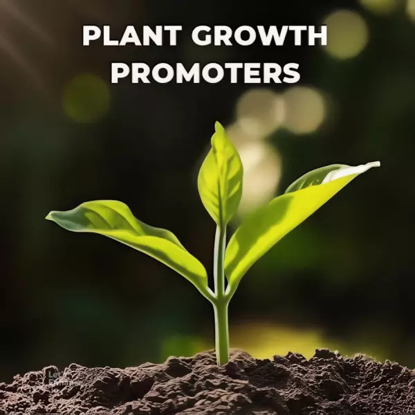 Plant Growth Promoter Manufacturers In Varanasi