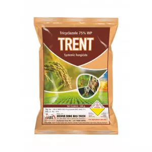 Protect Paddy From Blast Disease With TRICYCLAZOLE 75% WP