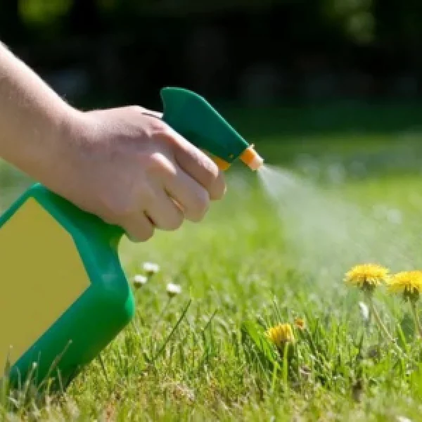 Zyme Granule Manufacturers In Solapur