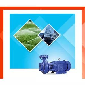 Centrifugal Monoblock Pump Installed At An Industrial Site