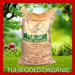 Tulsi Gold Manufacturers In Radhanpur