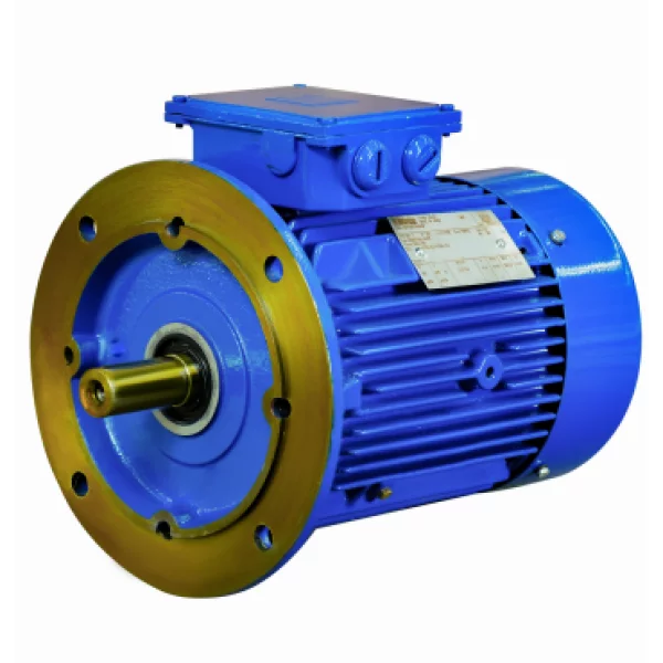CRANE DUTY MOTOR