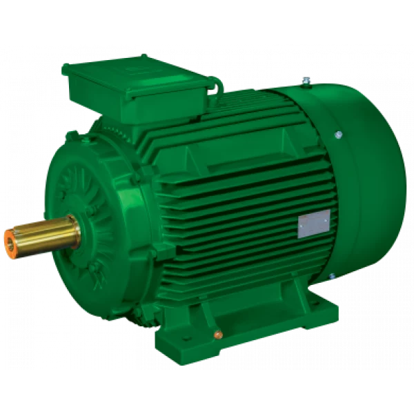 IE5 MOTOR