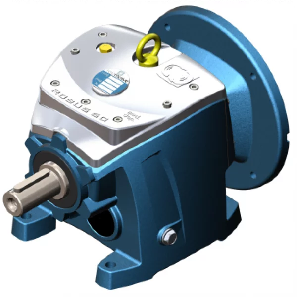 ROBUS INLINE HELICAL GEARBOX