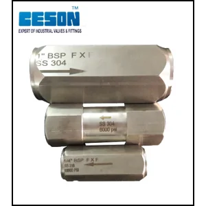 High Pressure Check Valve Made Of Stainless Steel With Threaded Ends For Industrial Pipeline