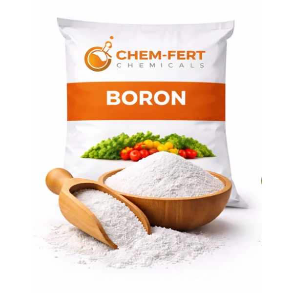 Boron Fertilizer Supplier | Agriculture Grade Micronutrient