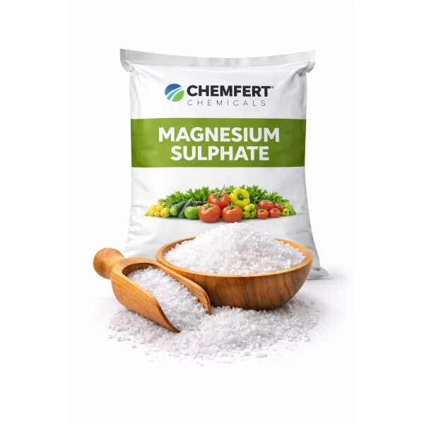 Magnesium Sulphate Fertilizer Supplier | Agriculture Grade