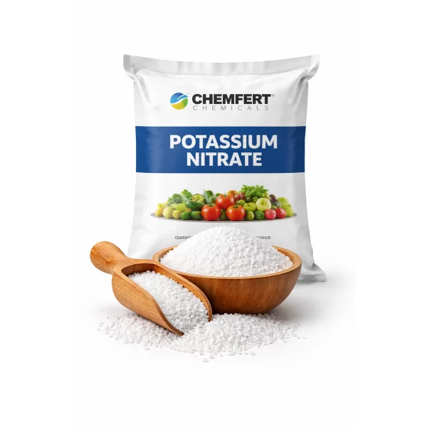 Potassium Nitrate Fertilizer Supplier From India | KNO3 Bulk Export