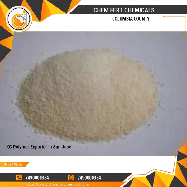 XC Polymer Exporter In San Jose