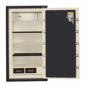 Automatic Safety Security Safes