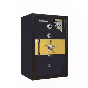 Siddheshwari Temple Security Safe Dark Brown