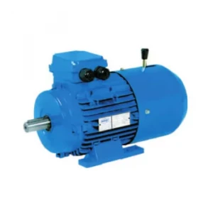 AC Brake Motors Exporter From India To Kenya