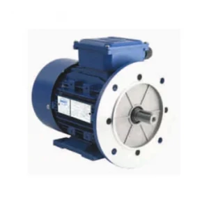 Flange Cum Foot Mounted Supplier Nairobi