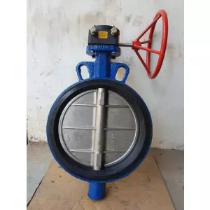 Cast Iron Butterfly Valve