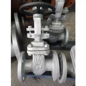 Cast Steel Gate Valve