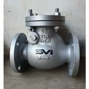 Cast Steel Non Return Valve