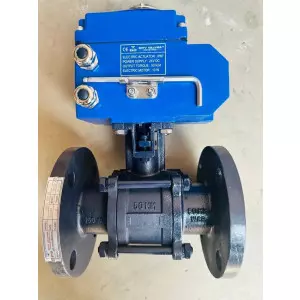 DN50 Motorised Valves