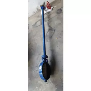Extended Shaft Butterfly Valve