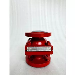 Fep Lined Ball Check Valve