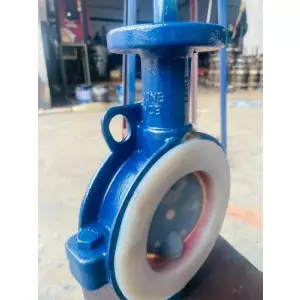 Fep Lined Butterfly Valve