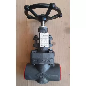 Forged Steel Globe Valve