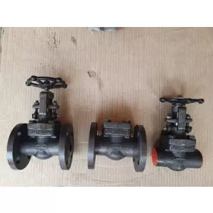 Forged Steel Valve