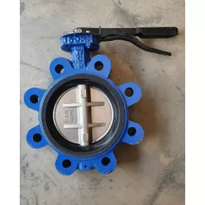 Lug Type Butterfly Valve