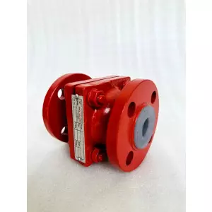 Ptfe Lined Ball Check Valve