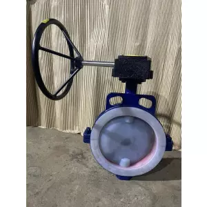 PTFE Sleeve Butterfly Valve
