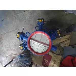 Silicon Rubber Lined Butterfly Valve